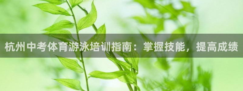 富联集团最新消息：杭州中考体育游泳培训指南：掌握技能