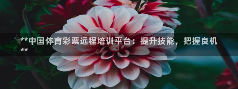 富联娱乐客户端app下载服务器失败怎么回事